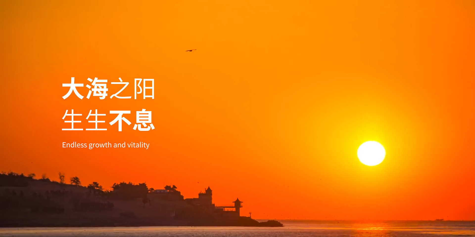 德州艾科空調(diào)設(shè)備有限公司